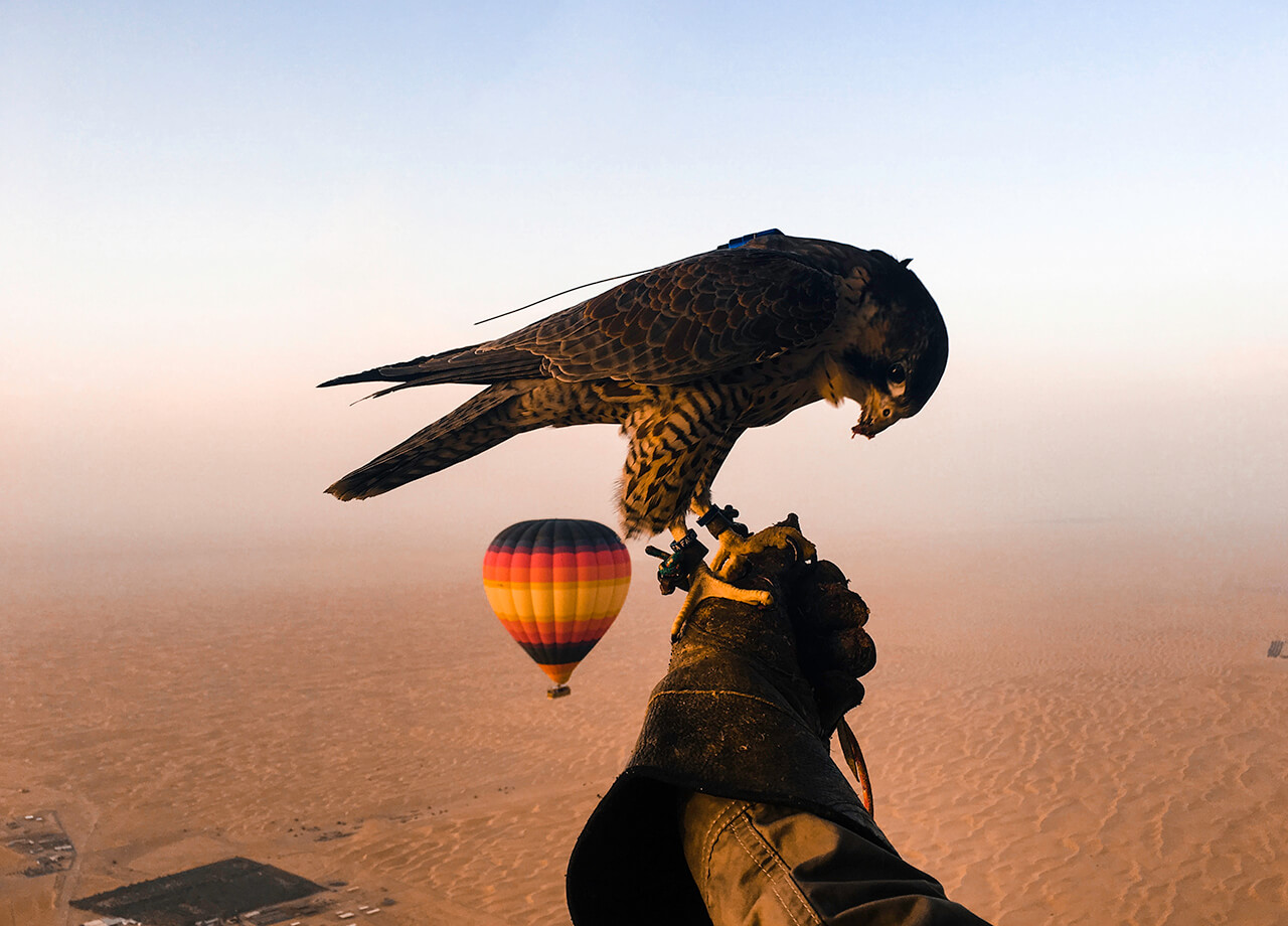 Hot Air Balloon With Transfer 